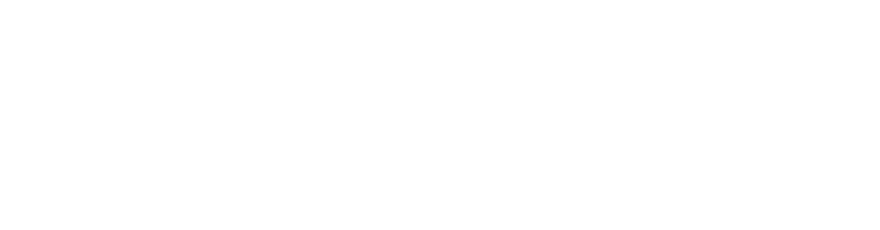 iBisne